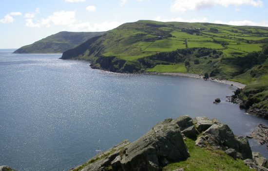 TORR HEAD